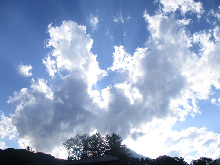 img_20250705-140418.jpg