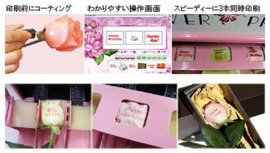 img_20120909-024124.png