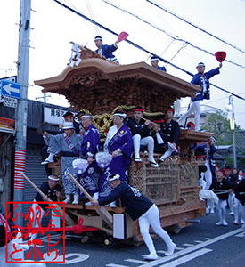 祭禮行脚記ーfestival Photo Videoー 貝塚市だんじり写真館 麻生郷地区 北近義地区 二色 南近義地区 木島西葛城地区