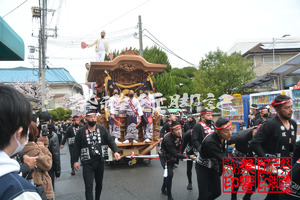 祭禮行脚記ーFestival Photo＆Videoー 泉北郡忠岡町だんじり