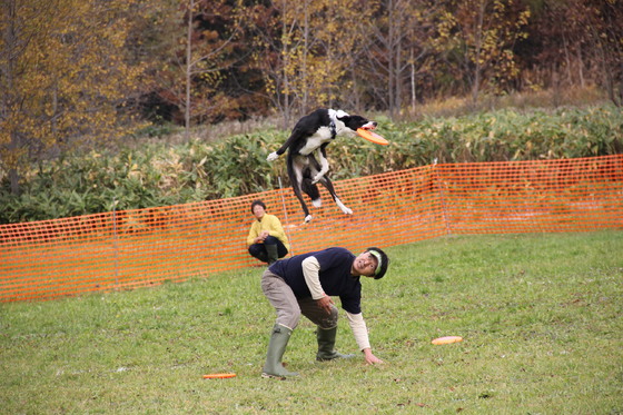 img_20151021-165512.jpg