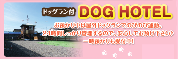 img_20200311-010019.png