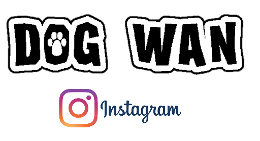 img_20250816-113558.png