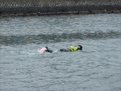 img_20160403-231135.jpg