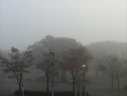 img_20161120-223418.jpg
