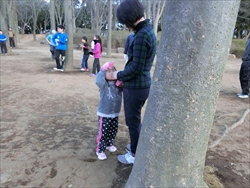 img_20170204-012231.jpg