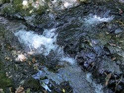 img_20180505-143044.jpg