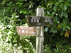 img_20180505-143446.jpg