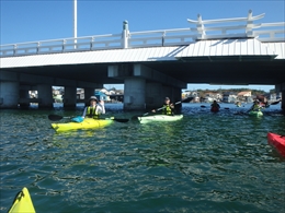 img_20181008-081311.jpg