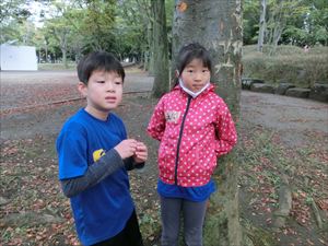 img_20201018-132545.jpg