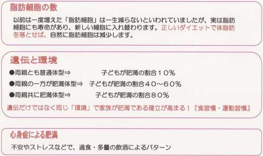 本気でダイエット だから成功しなかった なぜ 太る