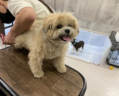 img_20220228-101726.jpg