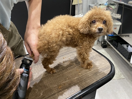 img_20220831-094529.jpg