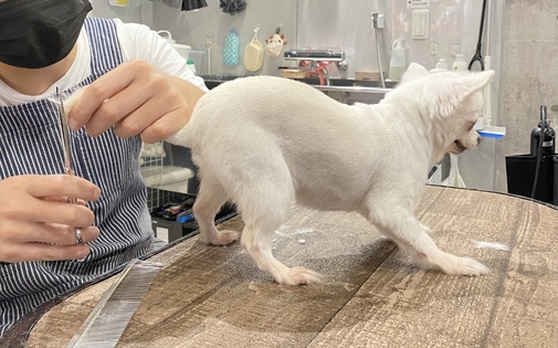 img_20220930-071919.jpg