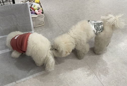 img_20230228-011550.jpg