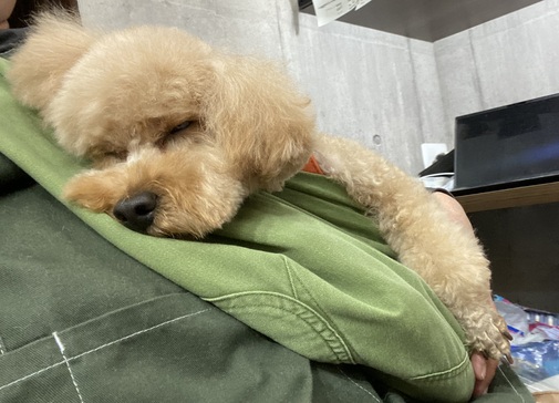 img_20231128-120955.jpg