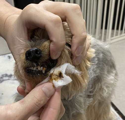 img_20231226-134730.jpg