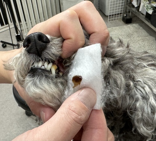 img_20240331-102823.jpg