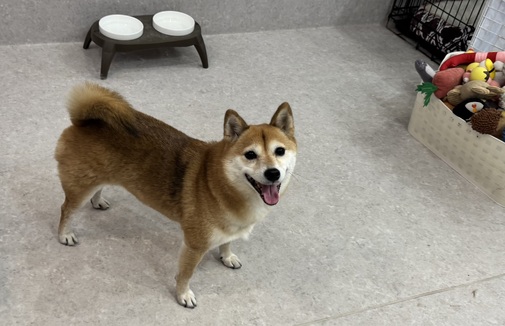 img_20250131-122421.jpg