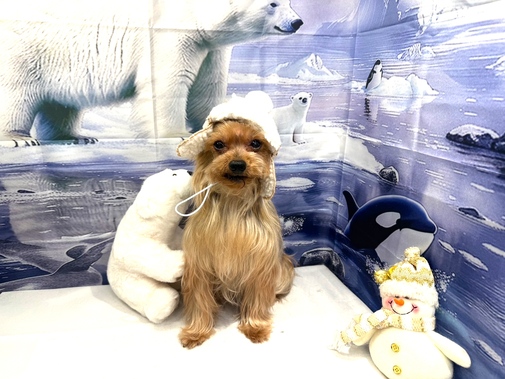 img_20250225-132932.jpg