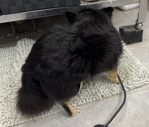 img_20250530-150507.jpg