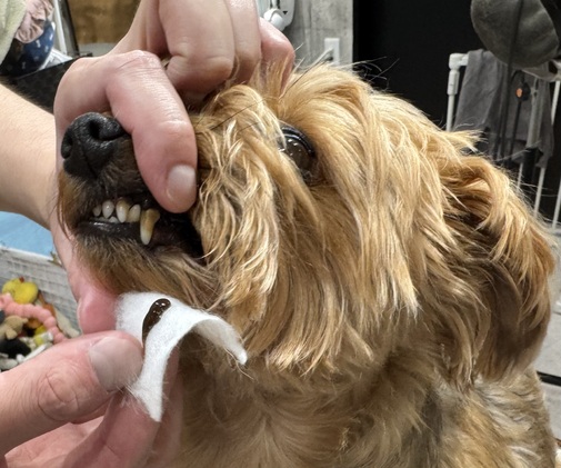 img_20250611-154118.jpg
