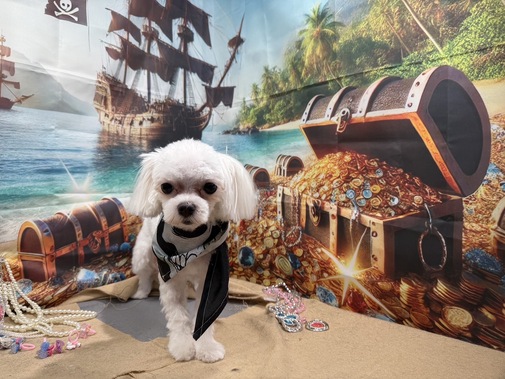 img_20250721-174839.jpg