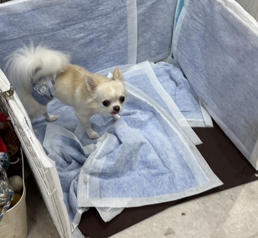 img_20250822-161635.jpg