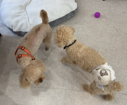 img_20250908-161638.jpg