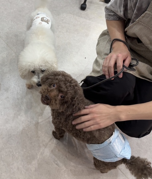 img_20250916-140135.jpg