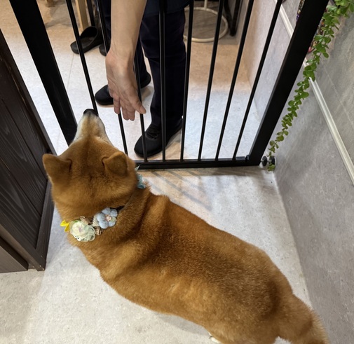 img_20251018-173436.jpg