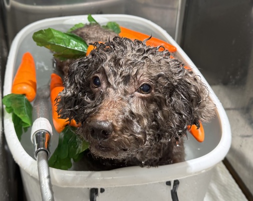 img_20251119-113942.jpg