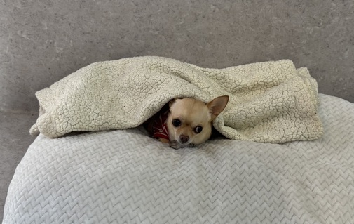 img_20251207-151135.jpg