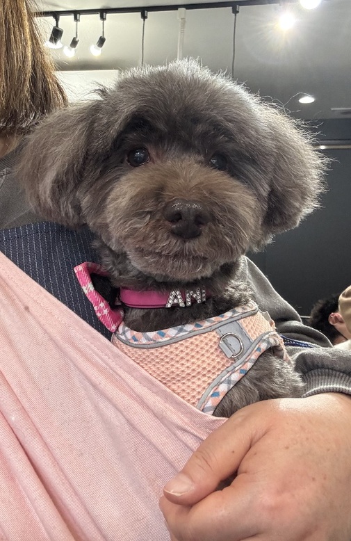 img_20260214-160329.jpg