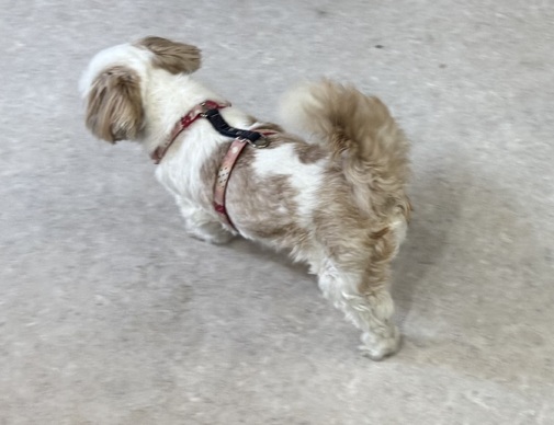 img_20260215-154854.jpg