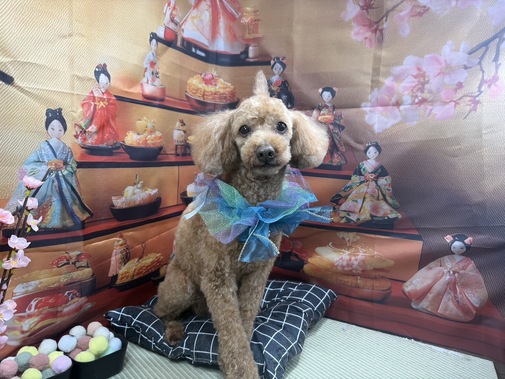 img_20260309-194047.jpg