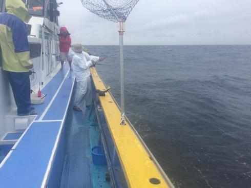 img_20170818-000001.jpg