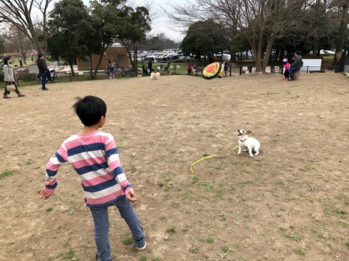 img_20190311-093351.jpg