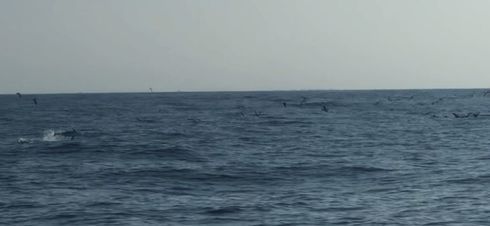 img_20190810-094335.jpg