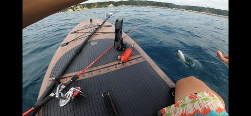 img_20200920-025411.jpg