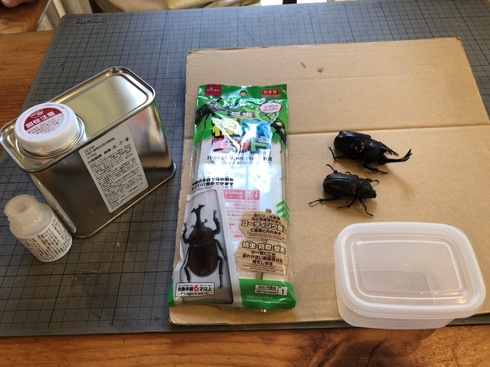 img_20210923-072518.jpg