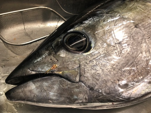 img_20211025-085610.jpg