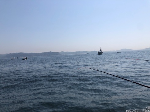 img_20220416-081815.jpg