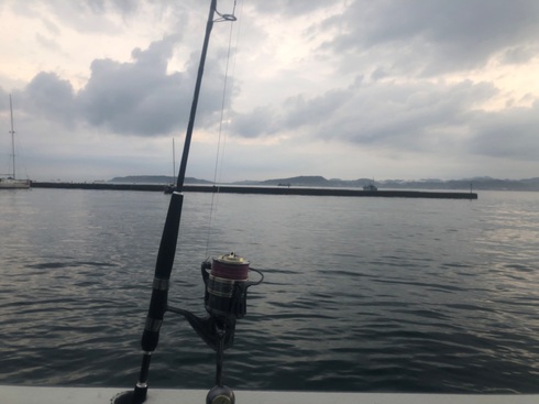 img_20221102-091152.jpg