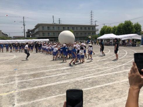 img_20230608-104940.jpg