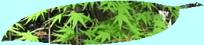 img_20160818-155016.gif