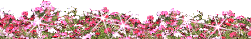 img_20161101-173532.gif