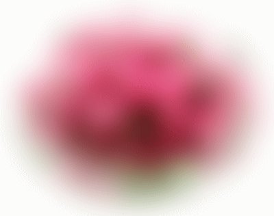 img_20170227-161144.gif