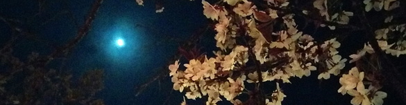 img_20170407-175340.jpg