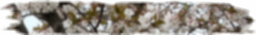 img_20170409-192347.gif